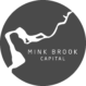 MINK BROOK CAPITAL